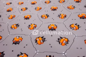 Symbotic adds intelligent sortation to its warehouse automation platform